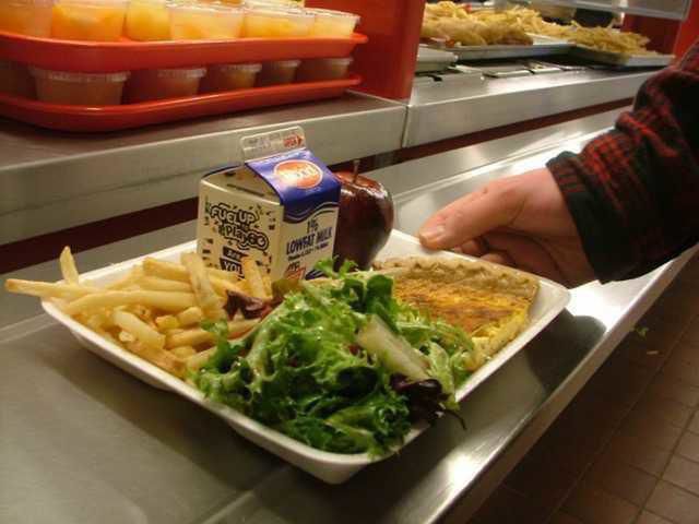 School lunch tray